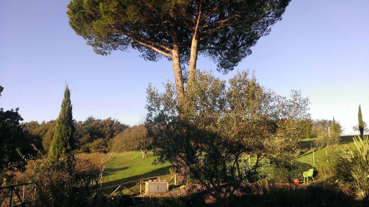ホテルLa Montagnola Retreat Gradoli エクステリア 写真